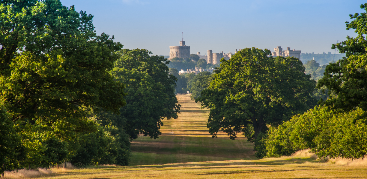 Windsor Great Park